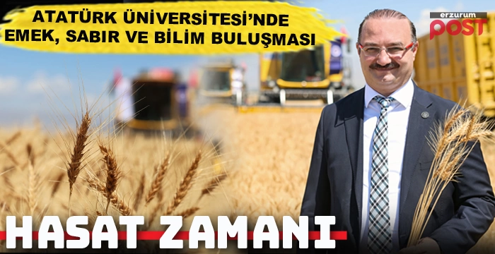 Atatürk Üniversitesinde hasat zamanı