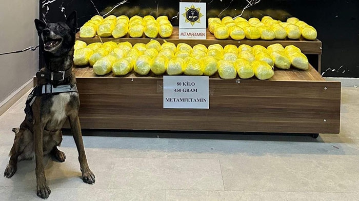 Narkotik köpek Magnum, uyuşturucu tacirlerine geçit vermiyor