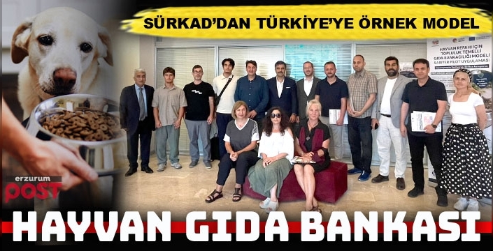 Sokak hayvanları için yeni model: Hayvan Gıda Bankaları
