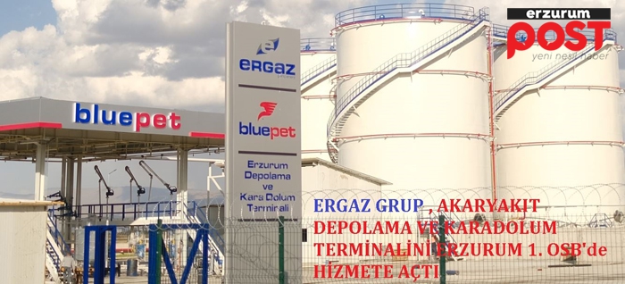 Türkiye Ekonomisine Ergaz enerjisi